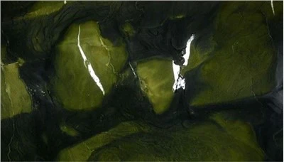 Brazil Verde Avocatus kvarcīta plātnes sienas flīzes