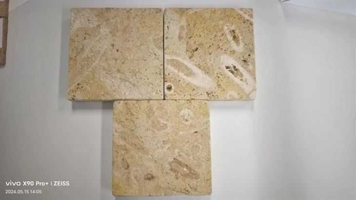 Coral Stone Sample